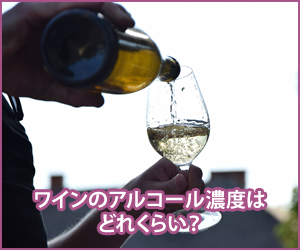 ワインのアルコール濃度はどれくらい?