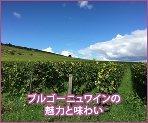ブルゴーニュワインの魅力と味わい