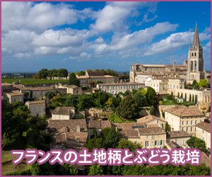 フランスの土地柄とぶどう栽培